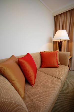 A sofa with cushion in a room setting