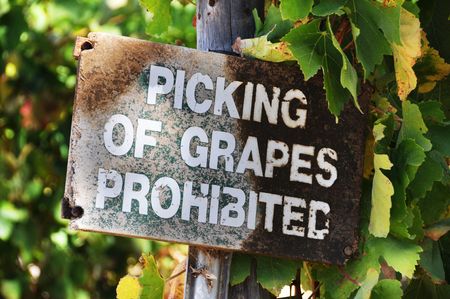 Signage at a vineyard that says no picking of grapesの写真素材