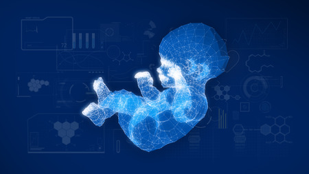 Wire frame of the model of the baby with graphics research on blue screen.3D rendering.の写真素材