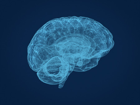 Wire frame model of the human brain. 3d rendering.の写真素材