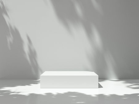 Pedestal for display,Platform for design,Blank product stand in Empty room with Tree shadow on the wall .3D rendering.の写真素材