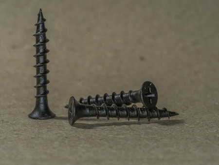 black screws with holderの写真素材