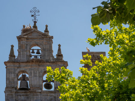 canpanary of a catholic church in Spainの写真素材