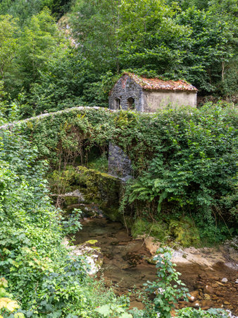 little house with river and stone bridgeの写真素材