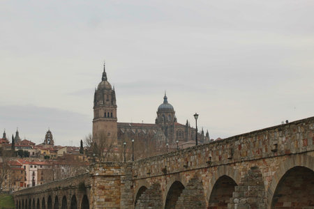 Salamanca Cathedral and Roman Bridge: A view of the Salamanca Cathedral and the Roman Bridge spanning the Tormes river, a historical landmark of the city.の写真素材