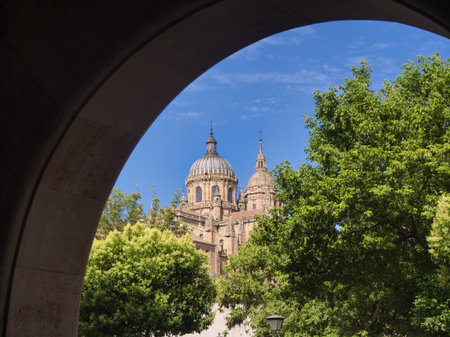 Salamanca Cathedral through an Archway: A captivating view of the domes of the Salamanca Cathedral framed by a historical archway and green trees against a blue sky.の写真素材