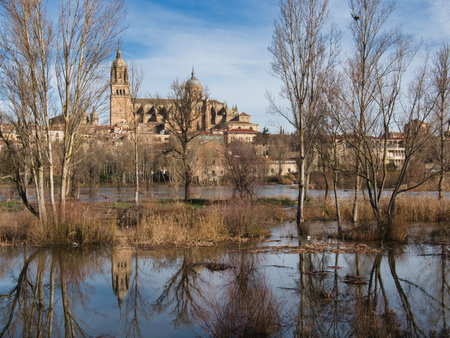 Salamanca Cathedral and Tormes River: The Salamanca Cathedral and cityscape reflect in the Tormes River on a sunny, winter day with bare trees in the foreground.の写真素材