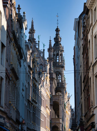 Historical rooftops in Brussels against blue sky - A view of the intricate spiers and statues on the...