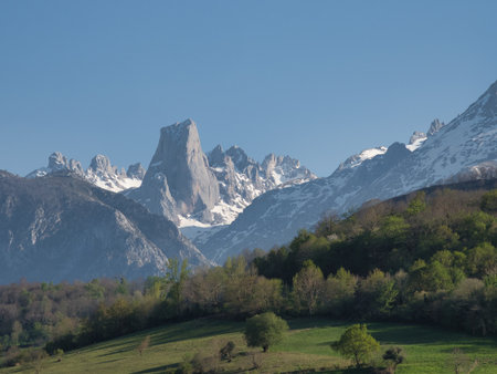 Idyllic Spring View of Naranjo de Bulnes Peak - Iconic Picu Urriellu and snow-capped Picos de Europa mountain range viewed from a lush, rolling green meadow in spring under a clear blue sky.の写真素材