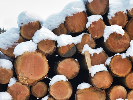 Snow-Covered Log Pile and Forest in Winter - Large stack of cut wooden logs dusted with fresh snow in a wintry rural landscape under a cloudy sky.の写真素材