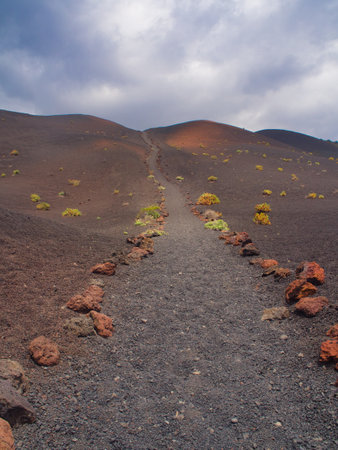 Volcanic ash trail leading up a dramatic slope - A hiking trail lined with red volcanic rocks ascends a dramatic ash slope with sparse vegetation under a cloudy sky on the Ruta de los Volcanes.の写真素材