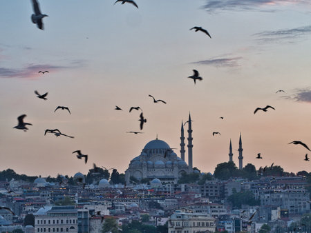 Suleymaniye Mosque at Sunset with Flying Seagulls - **The majestic SÃ¼leymaniye Mosque dominates the Istanbul skyline at dusk, its silhouette framed by a flock of seagulls in flight against the soft pink and orange hues of the sunset sky. Serene travel and nature.の写真素材