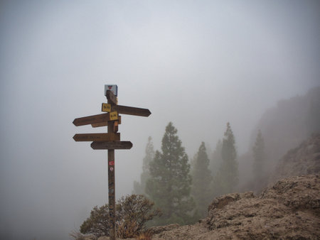 Hiking signpost in foggy mountain forest landscape - Trail sign on a moody, misty day in a high-altitude pine forest, symbolizing guidance, exploration, and nature trekking.の写真素材