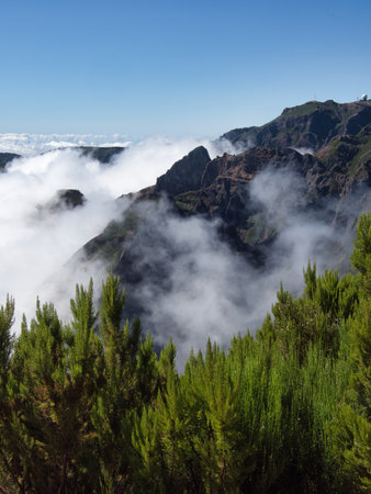 Mountain View Above Clouds in Madeira - Stunning view above the clouds from a high-altitude trail in Madeira. Rugged volcanic peaks emerge from a sea of fog, with vibrant green bushes below.の写真素材
