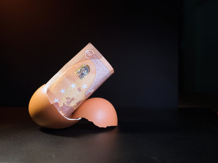 Financial Growth from Egg - A crisp 50 Euro banknote emerges from a broken brown eggshell against a dark background, symbolizing financial growth, investment, and new beginnings.の写真素材