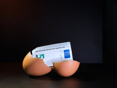 Euro Banknote in Cracked Eggshell - A five Euro banknote emerging from a cracked eggshell on a dark...