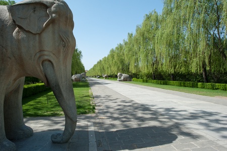 Spirit Way at the Ming Tombs, Beijingの写真素材