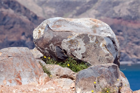 Bolder on a rock, Island of Madeiraの写真素材