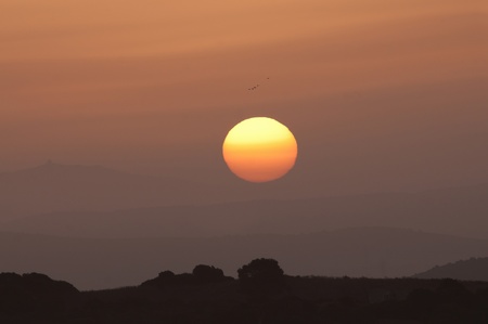 Sunrise and birds above a hill, Spainの写真素材