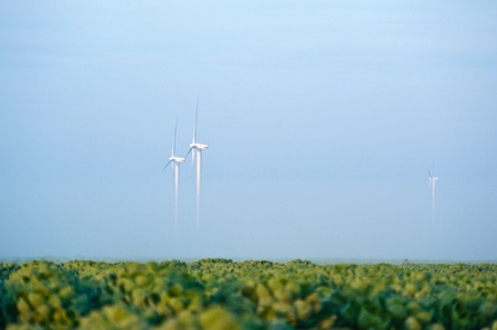 Agriculture and windmills in the fog, Hollandの写真素材