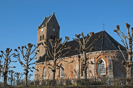 Ancient church amidst treesの写真素材