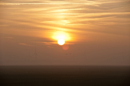 Sunrise and flying birds, Holland, Europeの写真素材