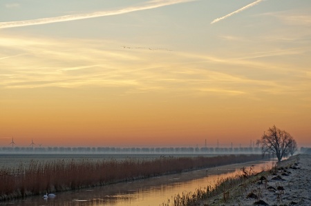 Sunrise over a canal in winterの写真素材