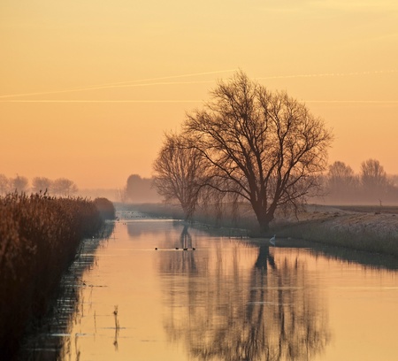 Reflection of a tree in a canal in winterの写真素材