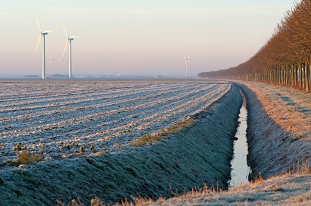 Field covered with frost at dawnの写真素材