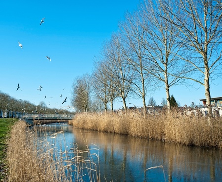 Frozen canal in a residential areaの写真素材