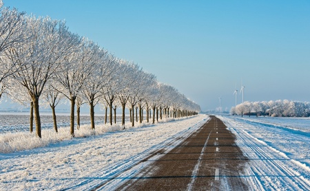 Snowy road in winterの写真素材