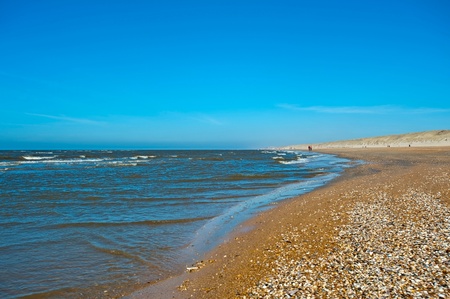 People walking on the beach in spring