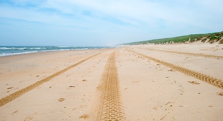Tracks in the sand of a beachの写真素材
