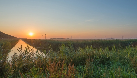 Sunrise over a canal in summerの写真素材