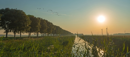 Sunrise over a canal in summerの写真素材