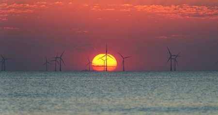 Sunset at sea in summerの写真素材