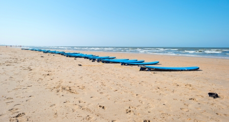 Surfboards lying on a beach in summerの写真素材