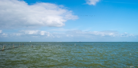 Fishnet in a lake along a dikeの写真素材