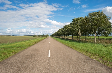 Road along a field in summerの写真素材