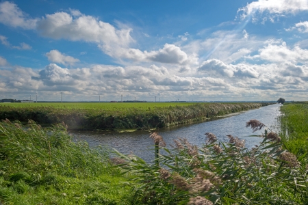 Canal through a Dutch landscape in summerの写真素材