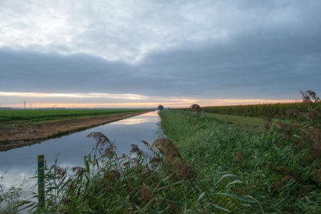 Canal at dawn in autumnの写真素材