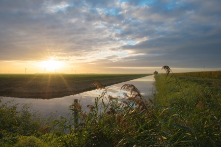 Canal in sunlight at dawn in autumnの写真素材