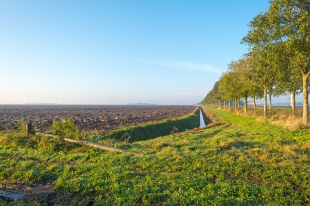 Furrows in a field at dawnの写真素材