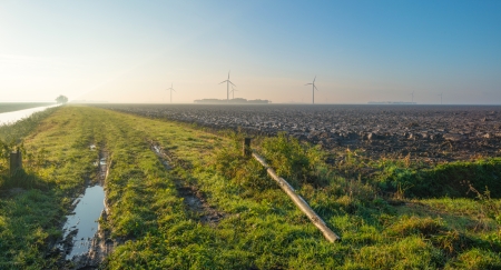 Furrows in a field at dawnの写真素材