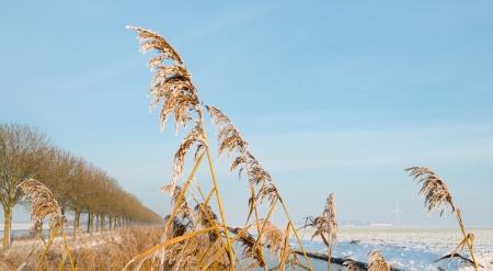 Canal through a snowy countrysideの写真素材