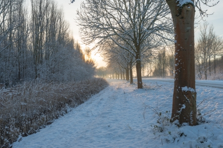Snowy road at sunsetの写真素材