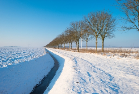 Field covered in snow in winterの写真素材