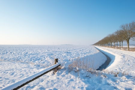 Field covered in snow in winterの写真素材