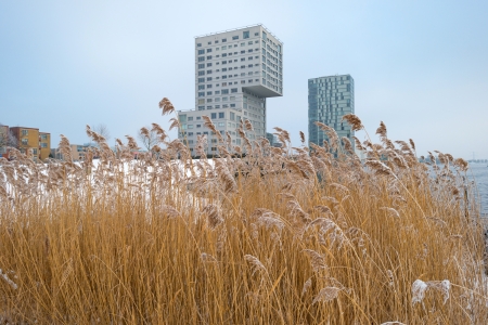 Highrise along a snowy lake in winterの写真素材