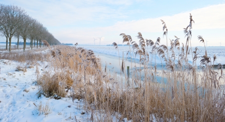 Frozen snowy canal in winterの写真素材